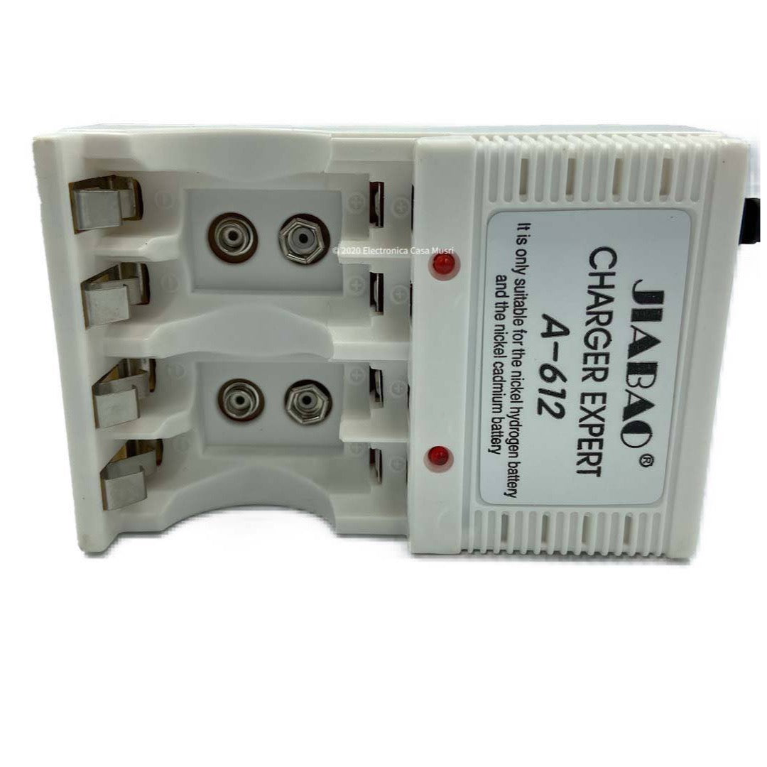 Cargador de pilas AA/AAA/Bateria 9v