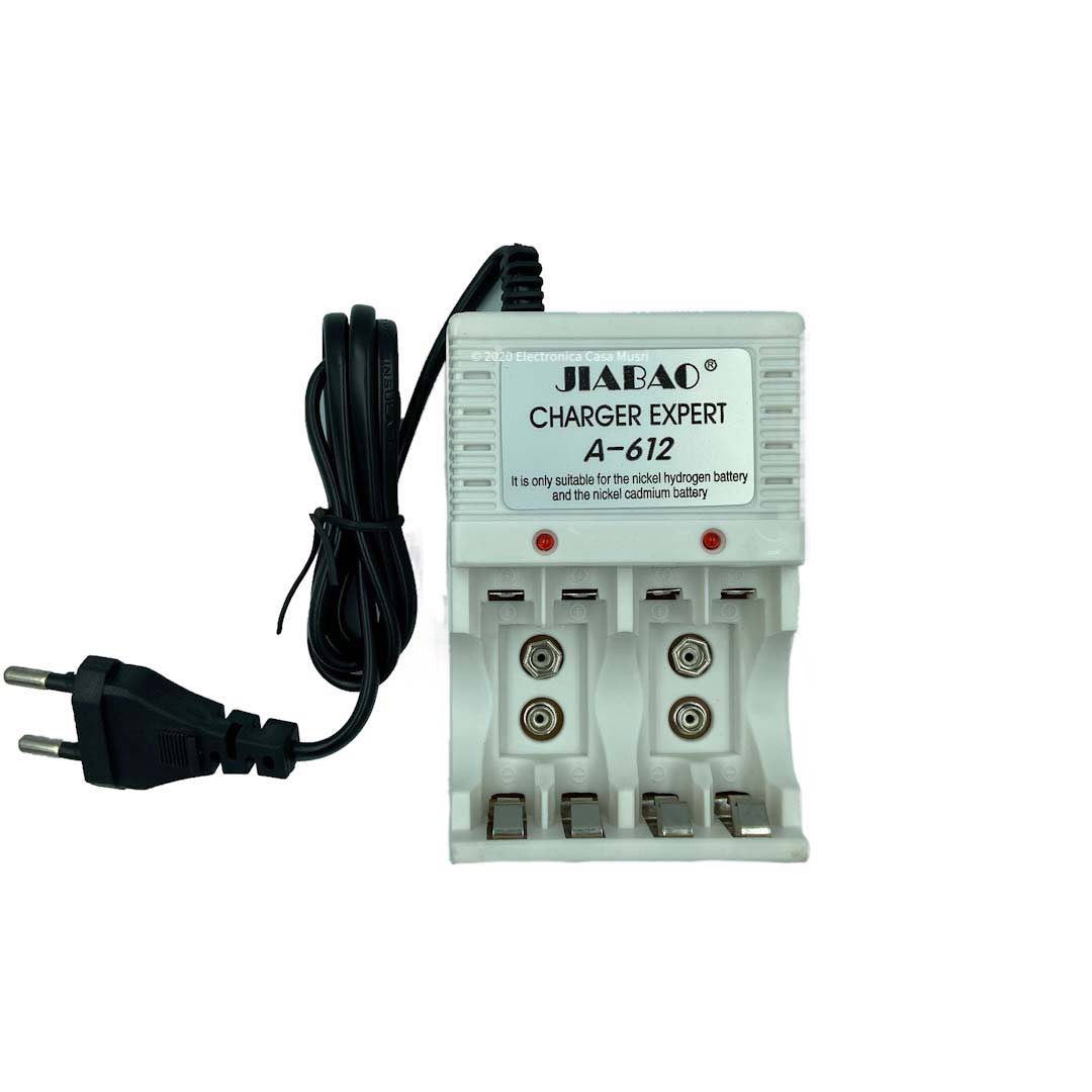 Cargador de pilas AA/AAA/Bateria 9v