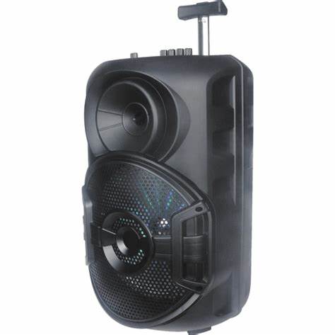 Parlante BT MSd Usb FM Luz Led